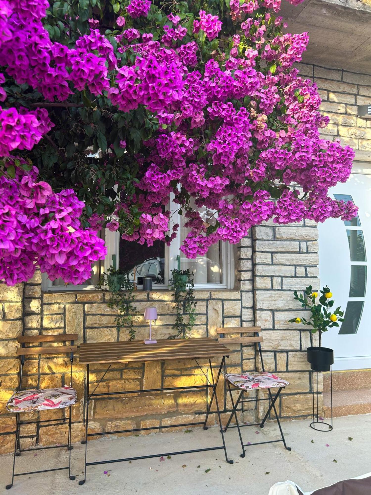 Rise Of Olympus Apartmani زادار المظهر الخارجي الصورة