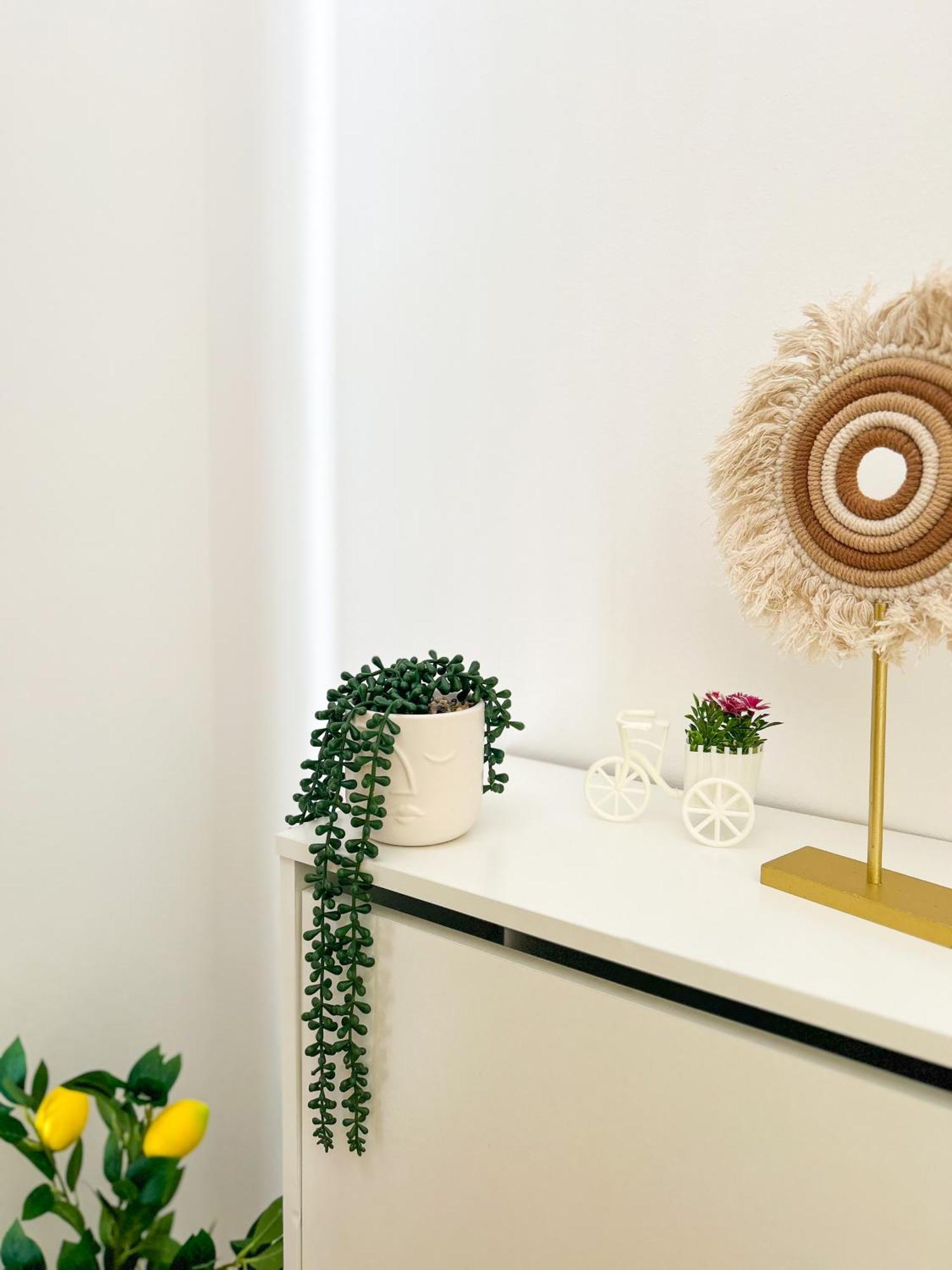 Rise Of Olympus Apartmani زادار المظهر الخارجي الصورة